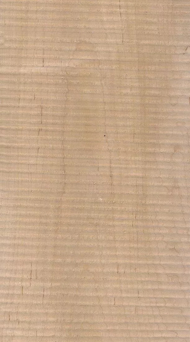 樺木的芯材顏色是淡紅棕色，邊材顏色近白色，板面寬且?guī)в暗哪酒な袌鰞r格良好，紋理通常是直紋和波浪紋，質(zhì)地均勻，板面有很好的自然光澤度。.webp.jpg