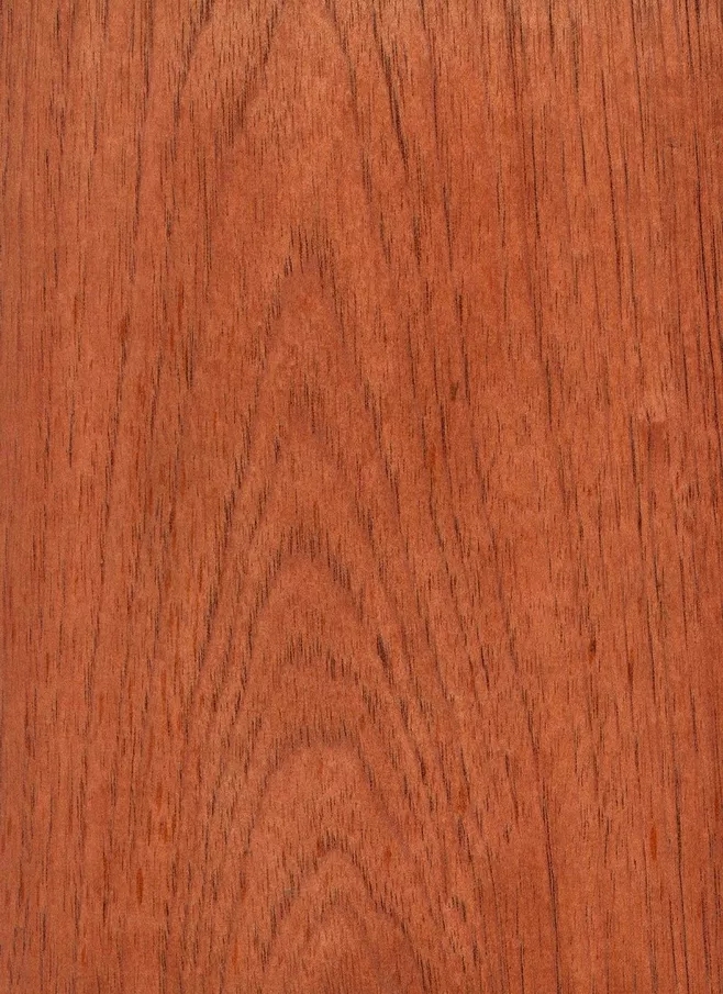 西班牙香杉的芯材為均勻的淺粉色到紅棕色，顏色一般會隨著樹木的增長而加深，通常，木材都自帶樹脂和有油脂，木材板面看起來比較普通。紋理通常直，有局部交錯，材質(zhì)均勻，天然光澤度一般。.webp.jpg